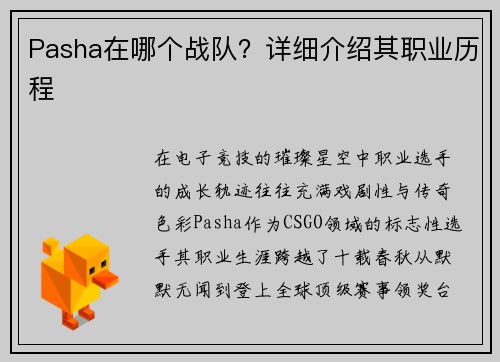 Pasha在哪个战队？详细介绍其职业历程